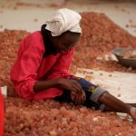 NOPEC DEVELOPMENT CO- WORLDS BEST SUPPLIER OF GUM ARABIC, PEANUTS, PEANUT OIL, SESAME SEEDS, & HIBISCUS