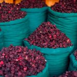 NOPEC DEVELOPMENT CO- is one of top exporter and supplier of HIBISCUS