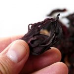 NOPEC DEVELOPMENT CO- WORLDS BEST SUPPLIER OF GUM ARABIC, PEANUTS, PEANUT OIL, SESAME SEEDS, & HIBISCUS