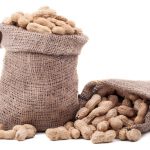 NOPEC DEVELOPMENT CO- WORLDS BEST SUPPLIER OF GUM ARABIC, PEANUTS, PEANUT OIL, SESAME SEEDS, & HIBISCUS