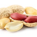 NOPEC DEVELOPMENT CO- WORLDS BEST SUPPLIER OF GUM ARABIC, PEANUTS, PEANUT OIL, SESAME SEEDS, & HIBISCUS