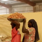 NOPEC DEVELOPMENT CO- WORLDS BEST SUPPLIER OF GUM ARABIC, PEANUTS, PEANUT OIL, SESAME SEEDS, & HIBISCUS