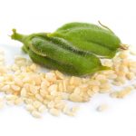 NOPEC DEVELOPMENT CO- WORLDS BEST SUPPLIER OF GUM ARABIC, PEANUTS, PEANUT OIL, SESAME SEEDS, & HIBISCUS